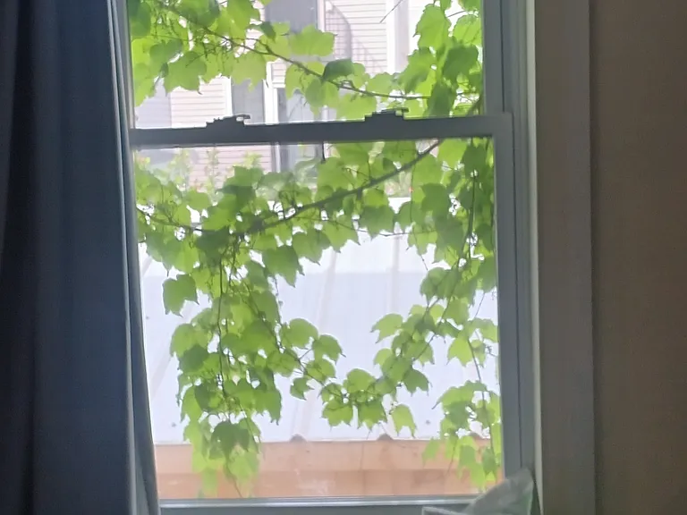 67 Gore St #1 — Photo 36