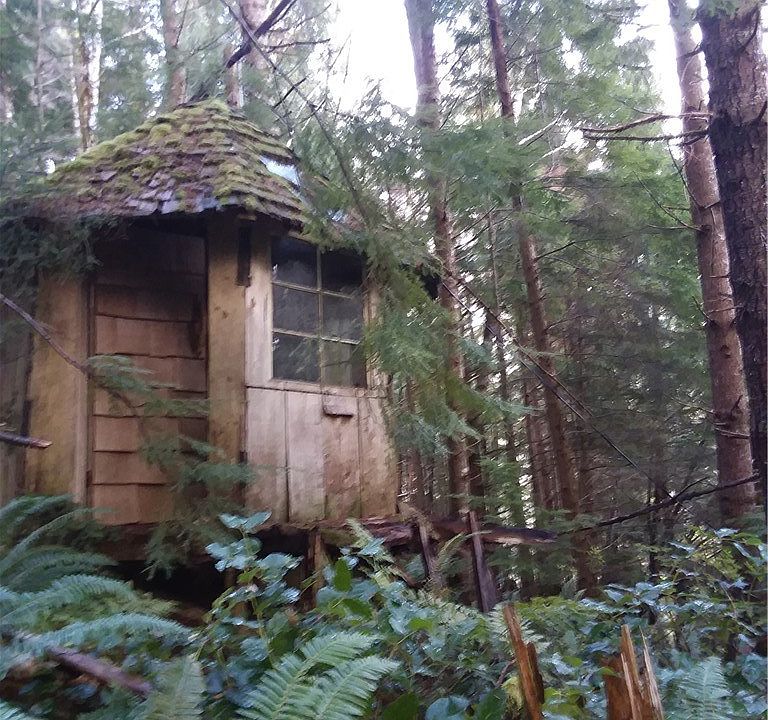 1st image of 0 Mp 17 S Hoke/ozette Road Approx Mp #17