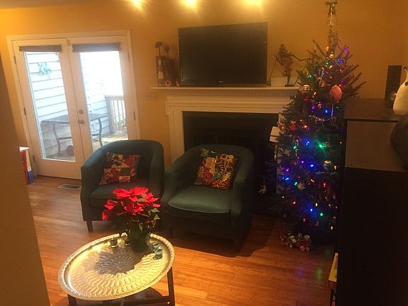 Wood burning fireplace