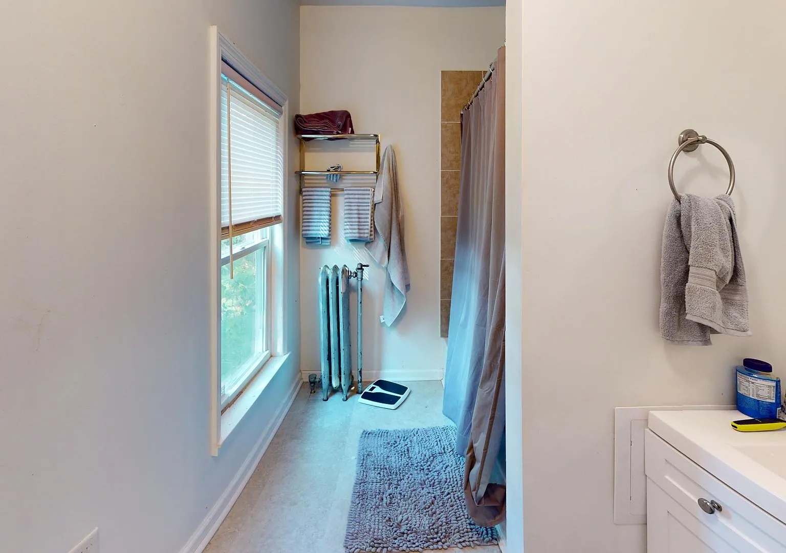 1 bed, $900 — Photo 3