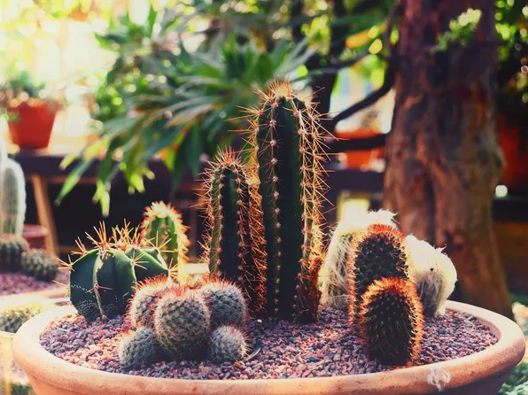 St. Charles Place Apartments