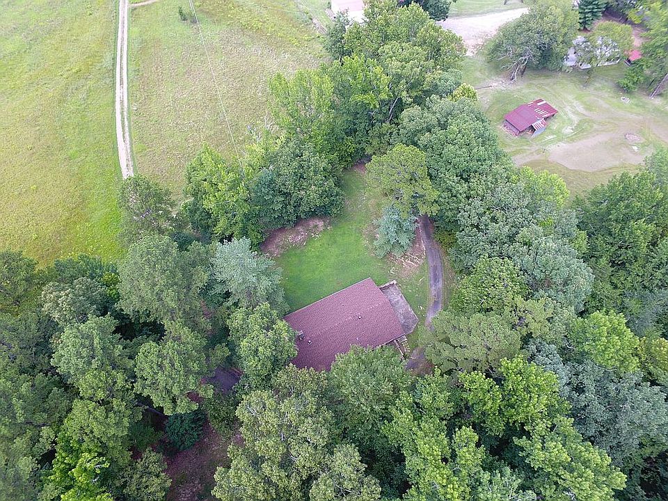 Home sits nestled in forest.