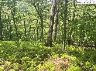 Lot 66 Bob Timberlake Drive, Boone, NC 28607