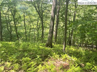 Lot 66 Bob Timberlake Drive, Boone, NC, 28607