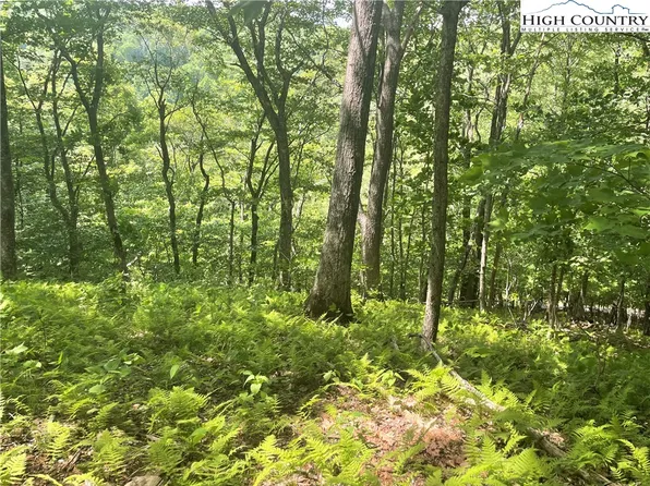Lot 66 Bob Timberlake Drive, Boone, NC 28607
