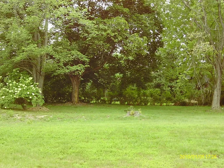 Back yard