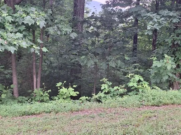 274 Andes Rdg, Morganton, GA 30560