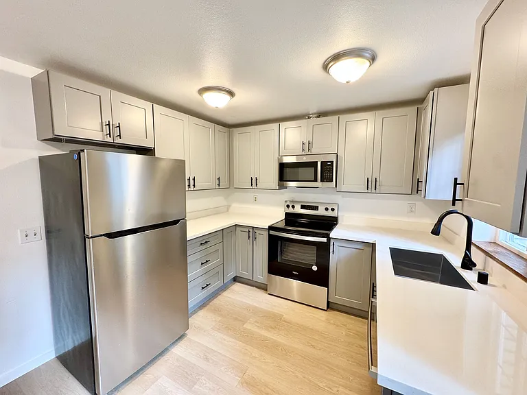 New shaker kitchen cabinets, new quartz counters and stainless steel appliances!