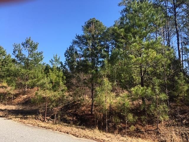 1st image of 37 Ihagee Creek Cir