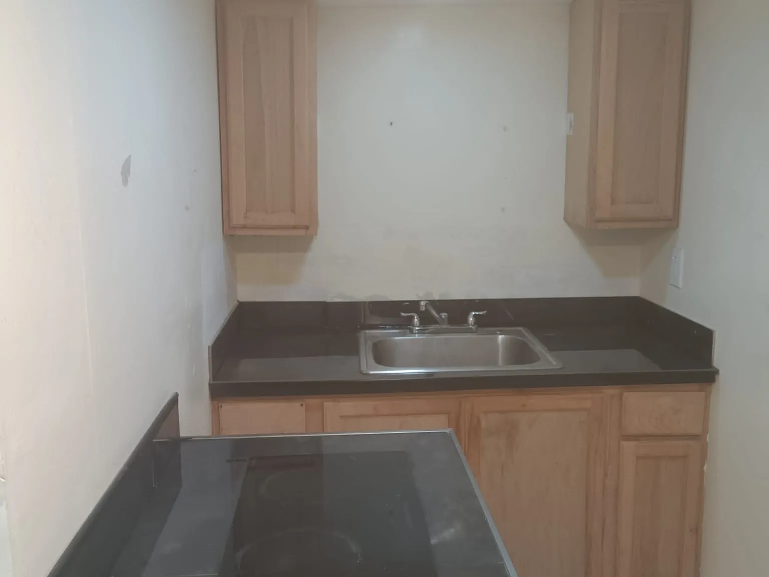 1 bed, 450 sqft, $1,100 — Photo 4