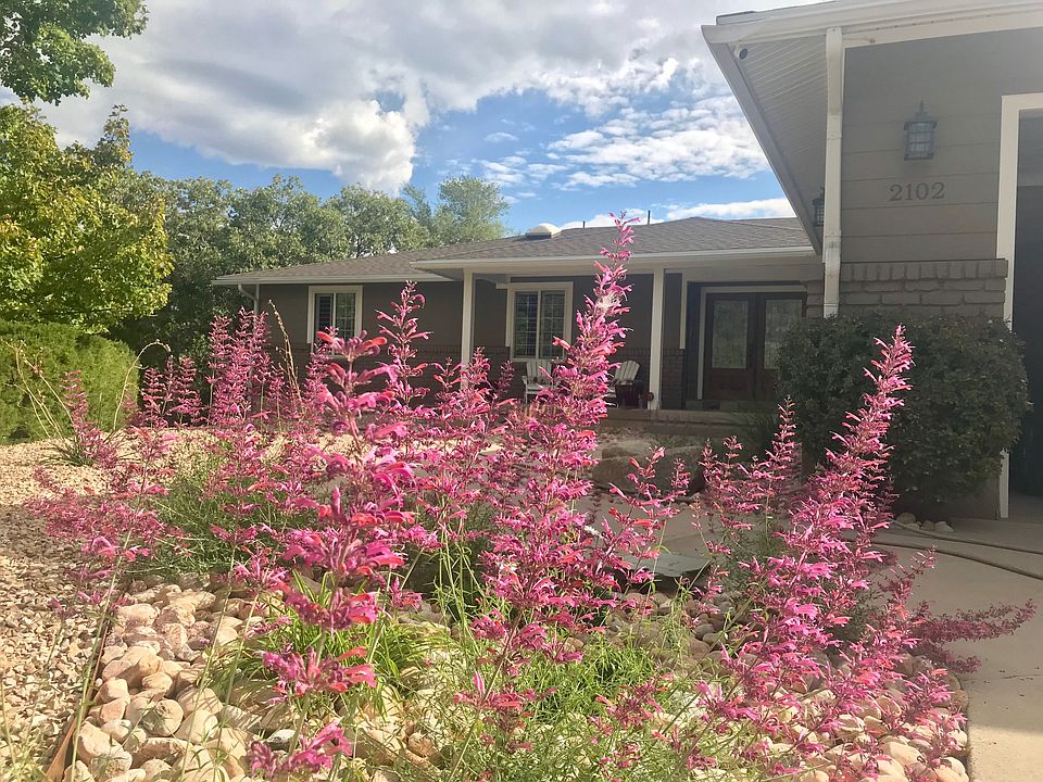 Beautiful Low Maintenance