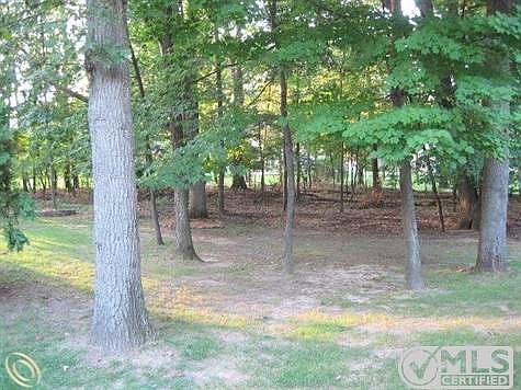 2Backyard.jpg