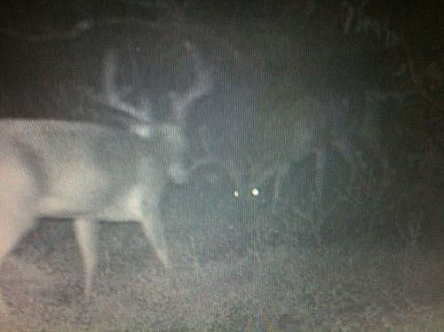 2nd image of 1011 Raby Rd