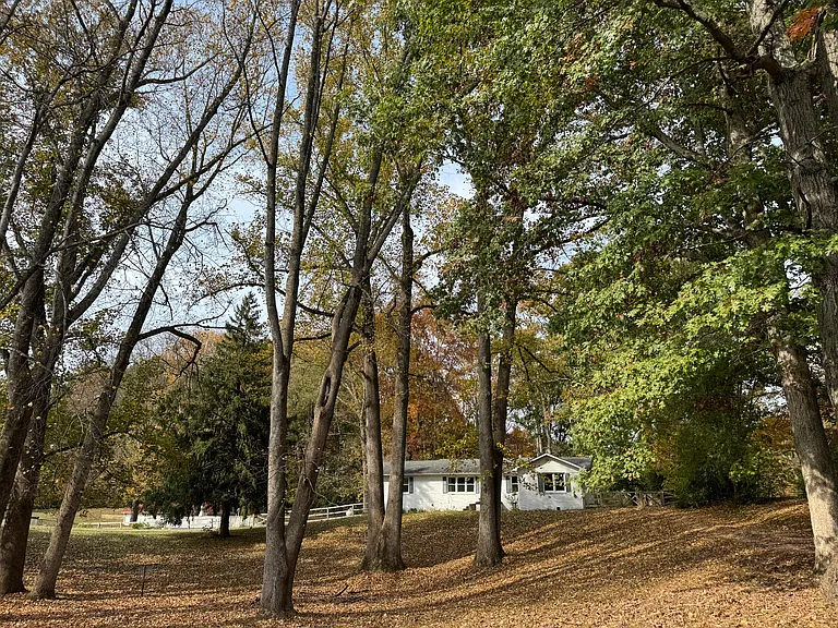 354 Castle Heights Rd — Photo 4