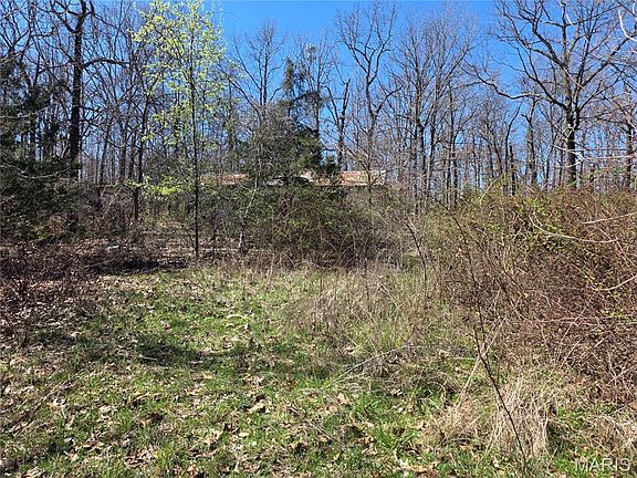 4th image of 12496 Eveningshade Rd