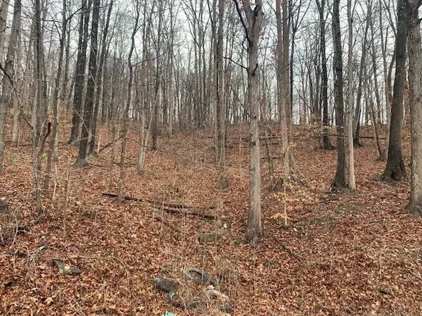 0 Route 37, Fort Gay, WV 25514