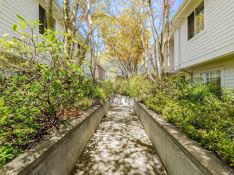 Madrona Court — Photo 14
