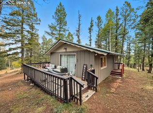 112 Denwood Dr, Florissant, CO 80816