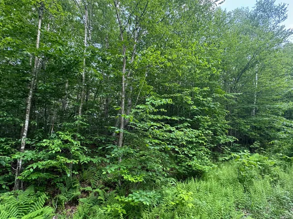 305 Lebenschauung Cir, Stamford, VT 05352