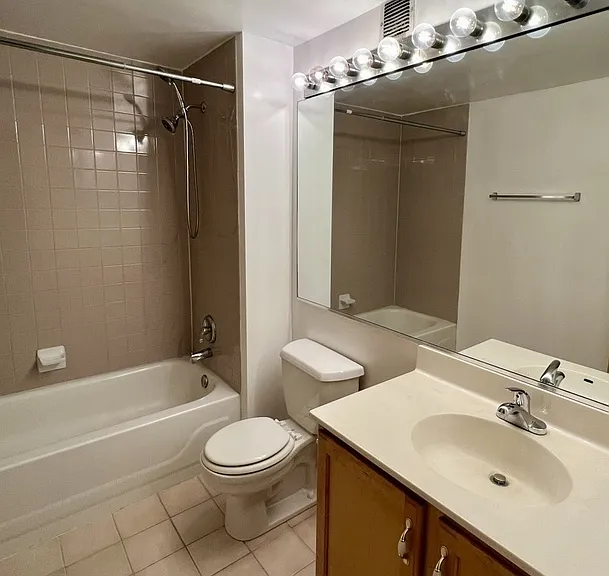 1250 W Van Buren St #415 — Photo 13