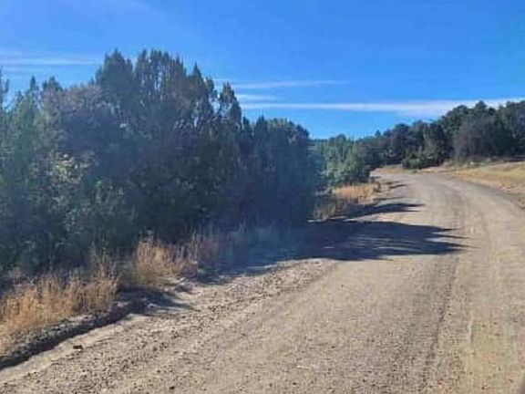 Exterior Neighborhood (street photo)