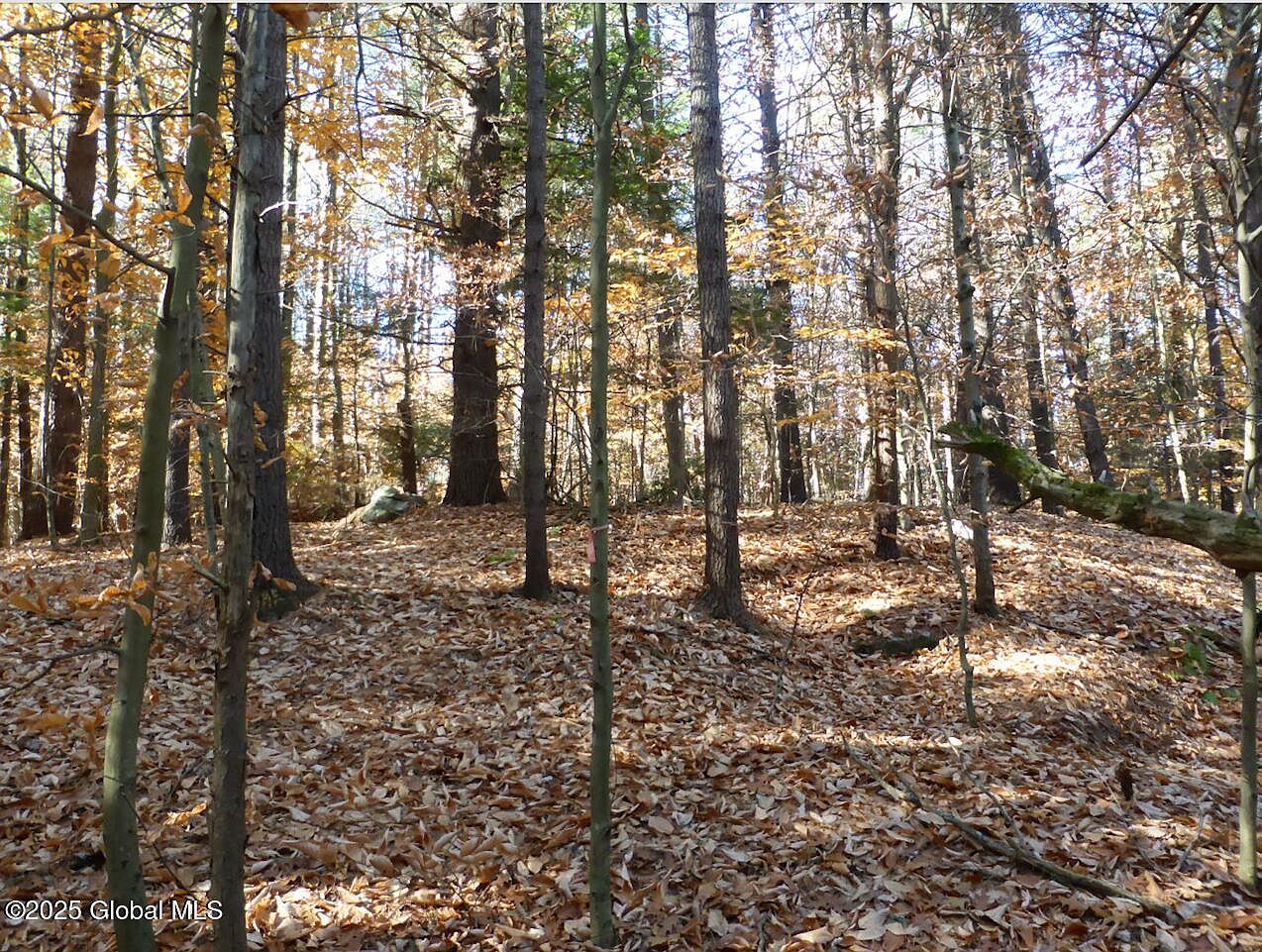1st image of 487 Antone Mountain Road