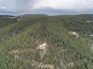 23141 Black Bear Trl, Conifer, CO 80433
