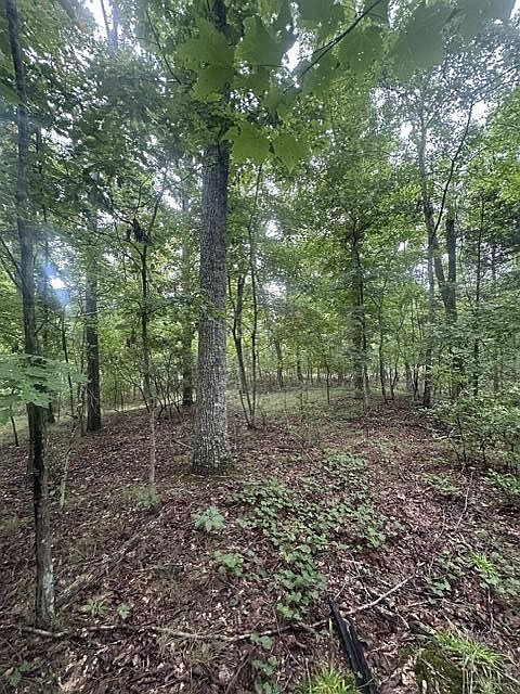 1st image of 108 Chesadu Cir Lot 108
