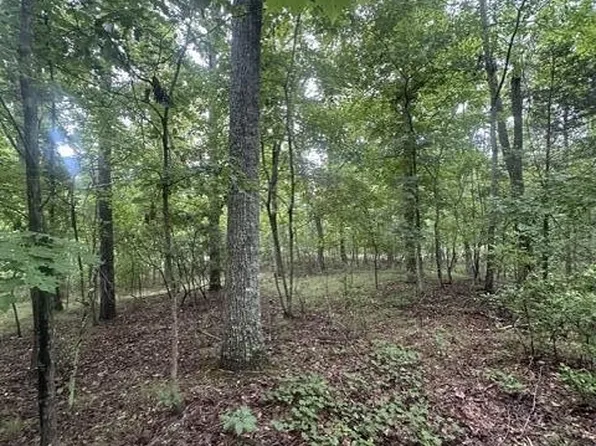 108 Chesadu Cir Lot 108, South Pittsburg, TN 37380