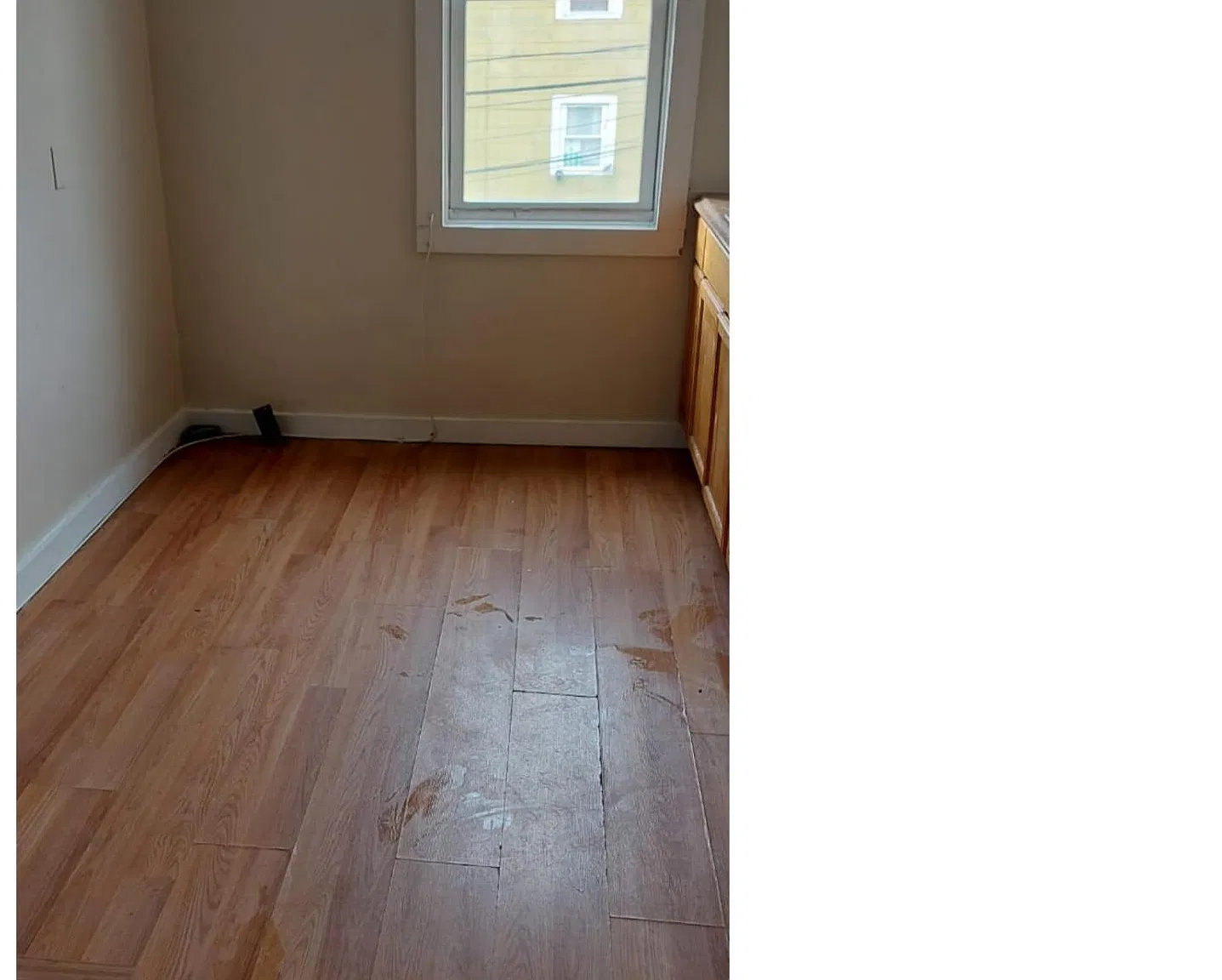 1 bed, $750 — Photo 3