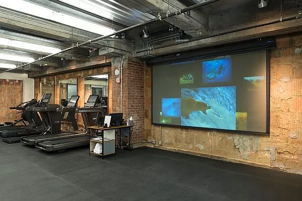 Rented by Manhattan Skyline | media 10