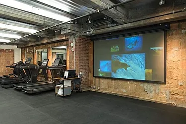 Rented by Manhattan Skyline