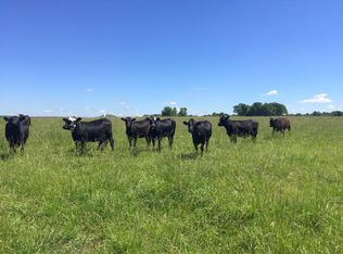 5047 S 240th Rd, Half Way, MO 65663