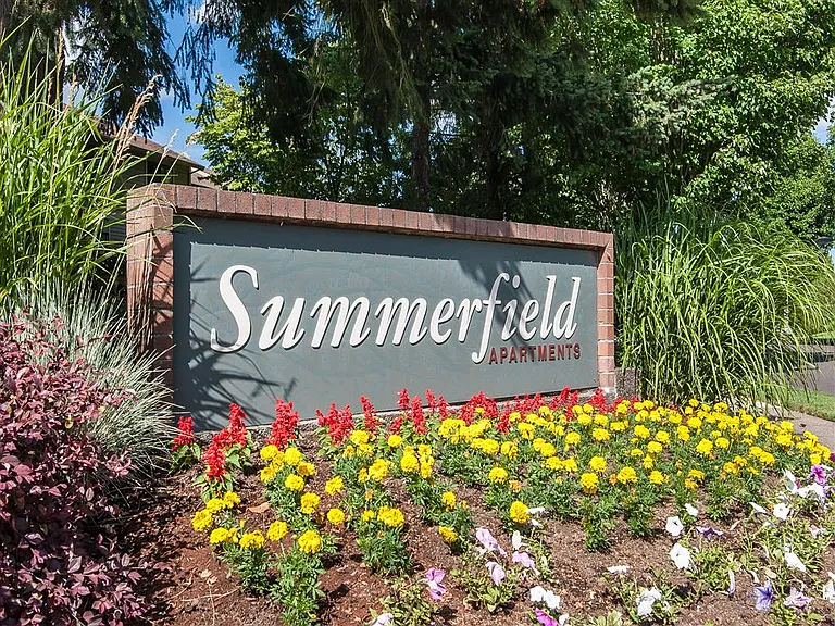 Summerfield — Photo 27