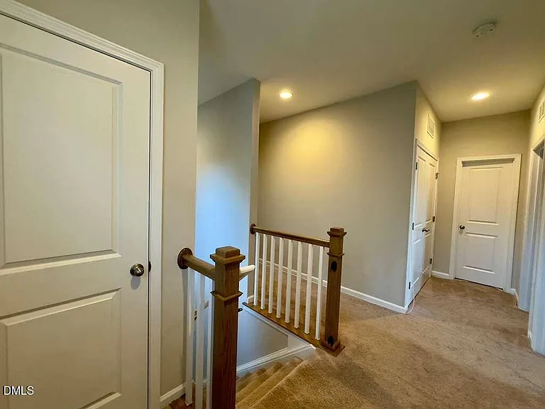 2223 Chattering Lory Ln — Photo 33