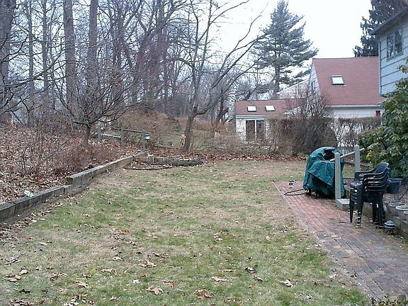 Back grass area