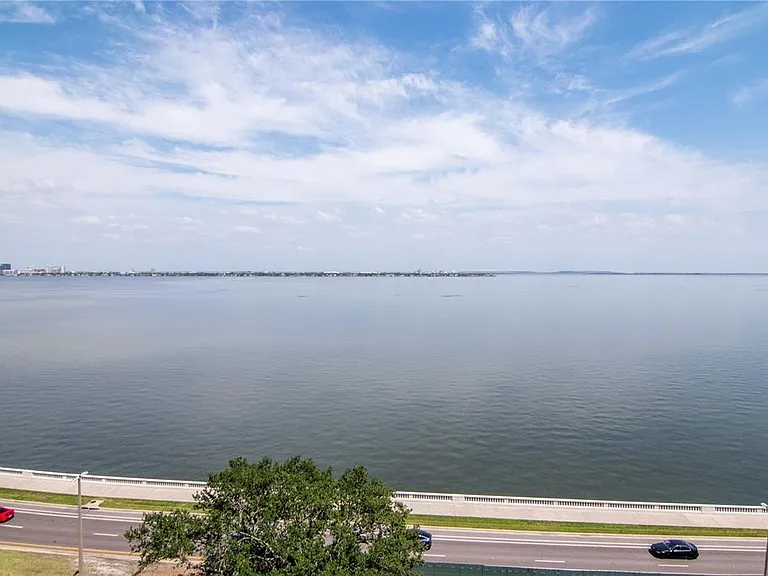 3101 W Bayshore Blvd #804 — Photo 56
