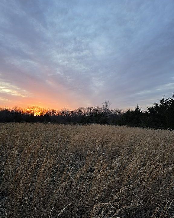 2nd image of 2181 Bluestem Rd
