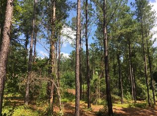 76 Lee Road 76, Waverly, AL 36879