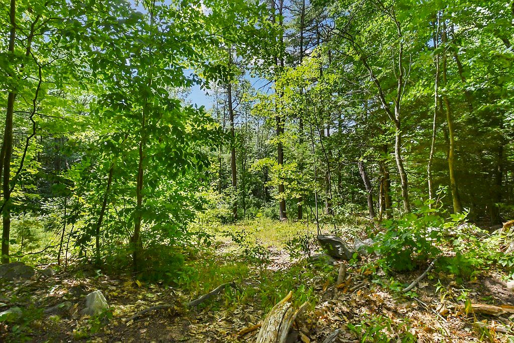 55A New Templeton Rd, Hubbardston, MA 01452 Zillow