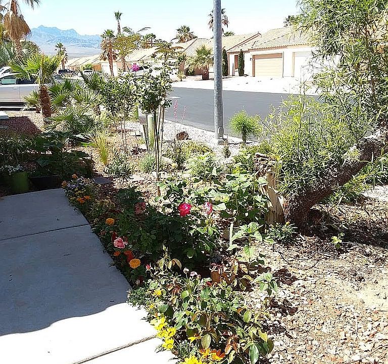 Current pik as of June 2019