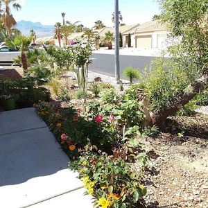 258 Thompson Dr, Mesquite, NV, 89027