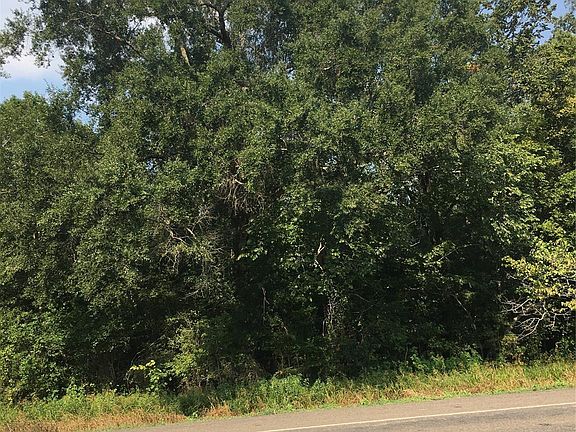 4th image of 321 Tbd Hwy
