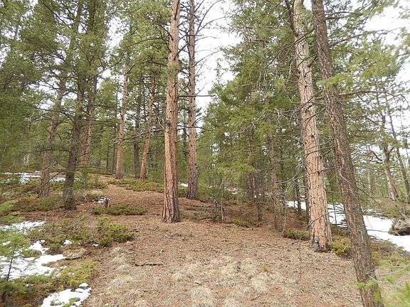 3rd image of 6721 County Road 1