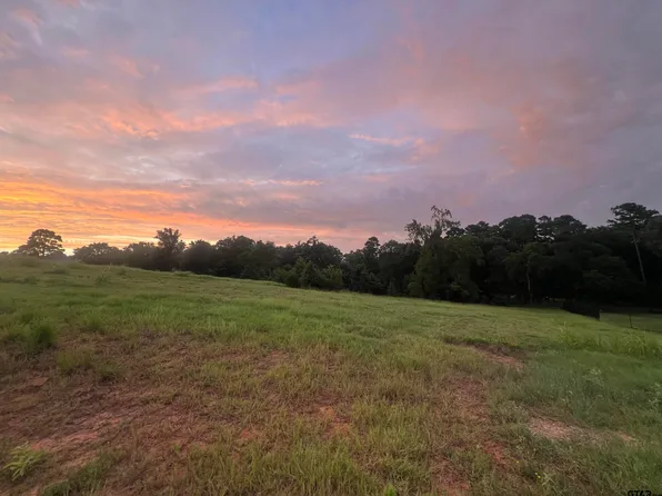 304 Bridle Ridge Ct, Tyler, TX 75703