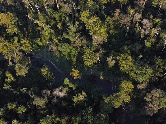 2nd image of 0 Alston Cemetery Rd