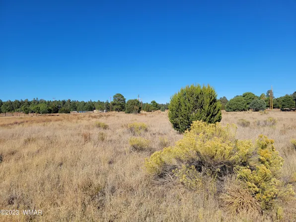 2278 Cabin Dr, Overgaard, AZ 85933
