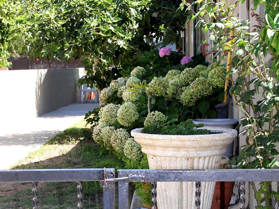 Gated and private...Outside landscaping is taken care of by gardener. This year it will be renovated. Nevertheless, there are always blooms, fruit trees and a well maintained entrance.