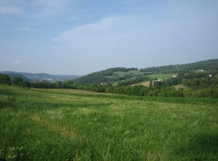 Ploss Rd, Richmondville, NY 12149