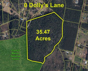 0 Dollys Ln, Jamestown, SC, 29453